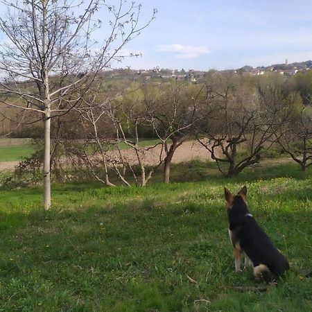B&B Naturin - Cascina Colombaro Lauriano Εξωτερικό φωτογραφία