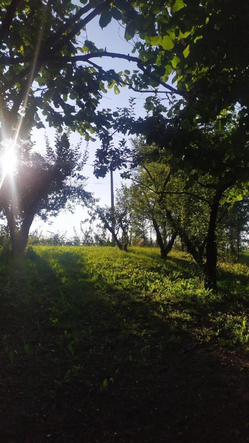 B&B Naturin - Cascina Colombaro Lauriano Εξωτερικό φωτογραφία