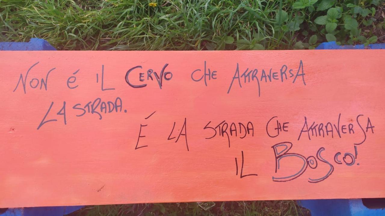 B&B Naturin - Cascina Colombaro Lauriano Εξωτερικό φωτογραφία