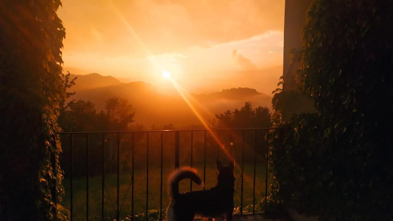 B&B Naturin - Cascina Colombaro Lauriano Εξωτερικό φωτογραφία