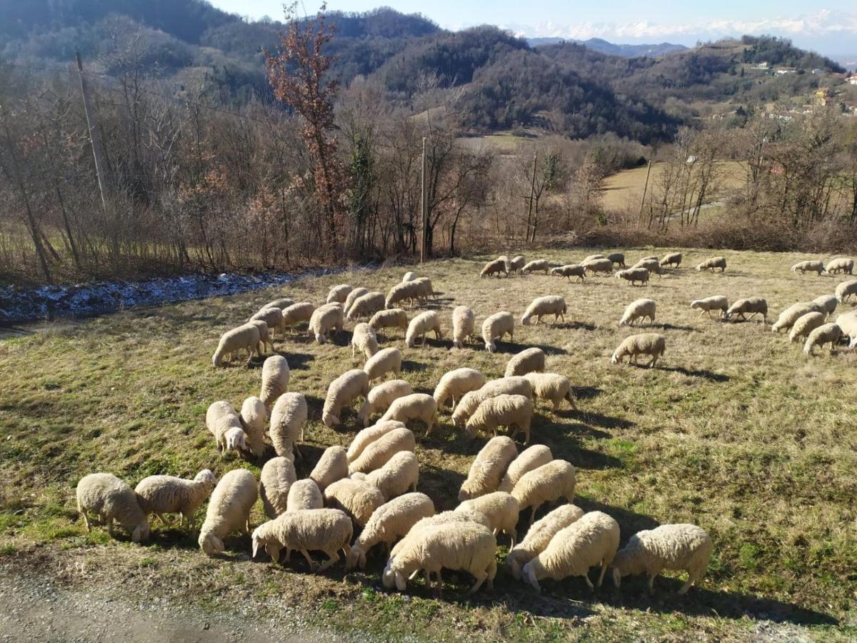 B&B Naturin - Cascina Colombaro Lauriano Εξωτερικό φωτογραφία