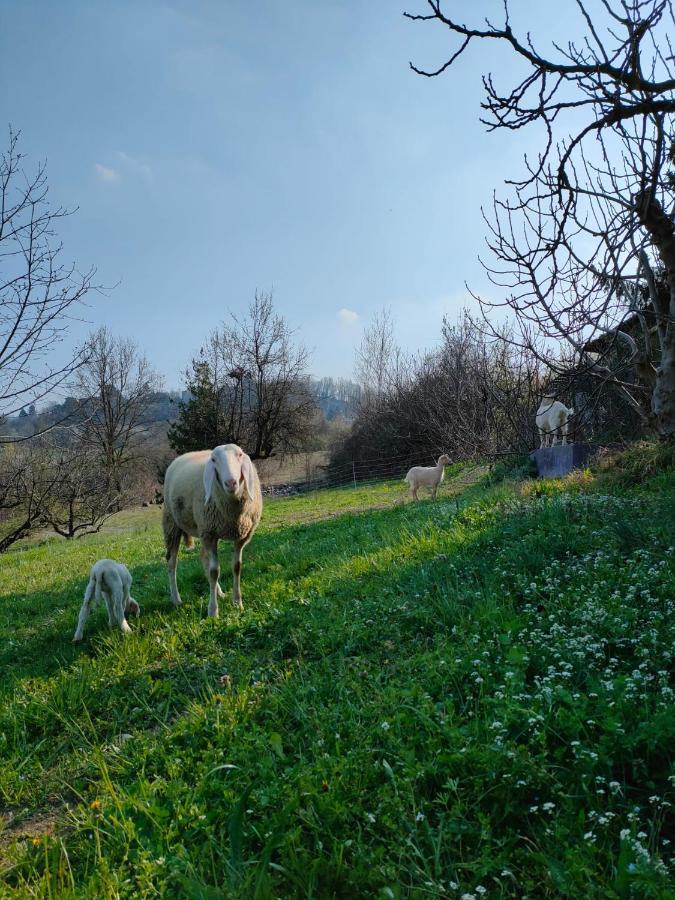 B&B Naturin - Cascina Colombaro Lauriano Εξωτερικό φωτογραφία