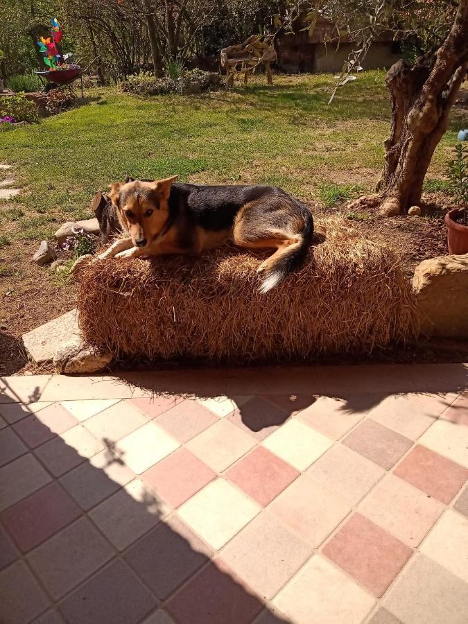 B&B Naturin - Cascina Colombaro Lauriano Εξωτερικό φωτογραφία