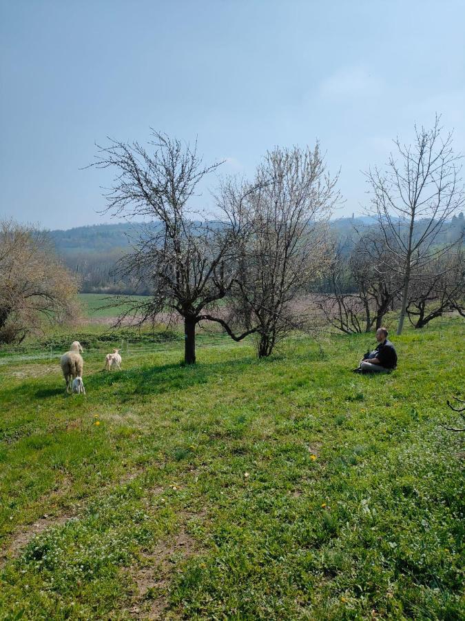 B&B Naturin - Cascina Colombaro Lauriano Εξωτερικό φωτογραφία